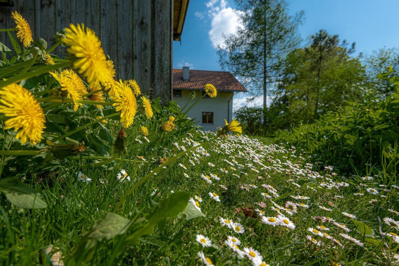 מיסבאך Ferienhaus Schlierachtal מראה חיצוני תמונה
